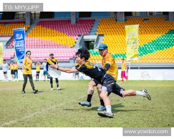 飞盘传奇：武汉飞盘队如何逆风翻盘成就辉煌之路