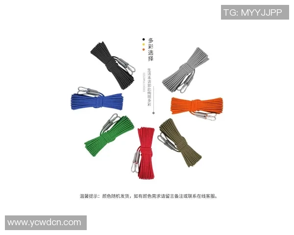 飞盘装备选购指南：如何选择适合的攀岩绳和配件